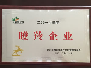武汉wnsr威尼斯光电入选光谷2016年“瞪羚企业”