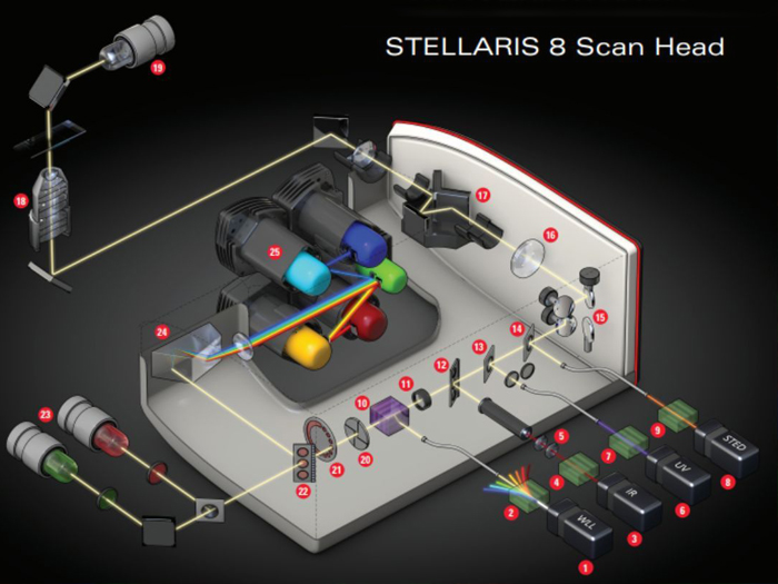 STELLARIS 8 扫描头