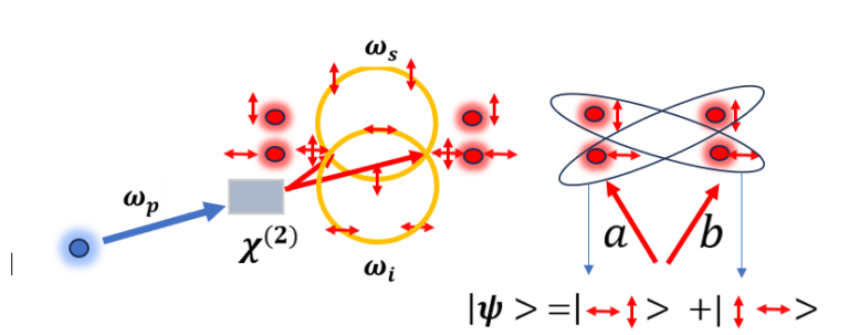 利用SPDC过程产生光子偏振纠缠（贝尔量子态）的示例