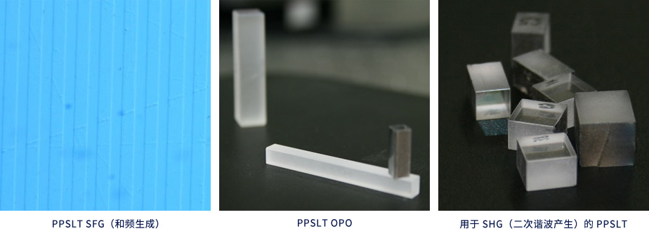PPSLT晶体